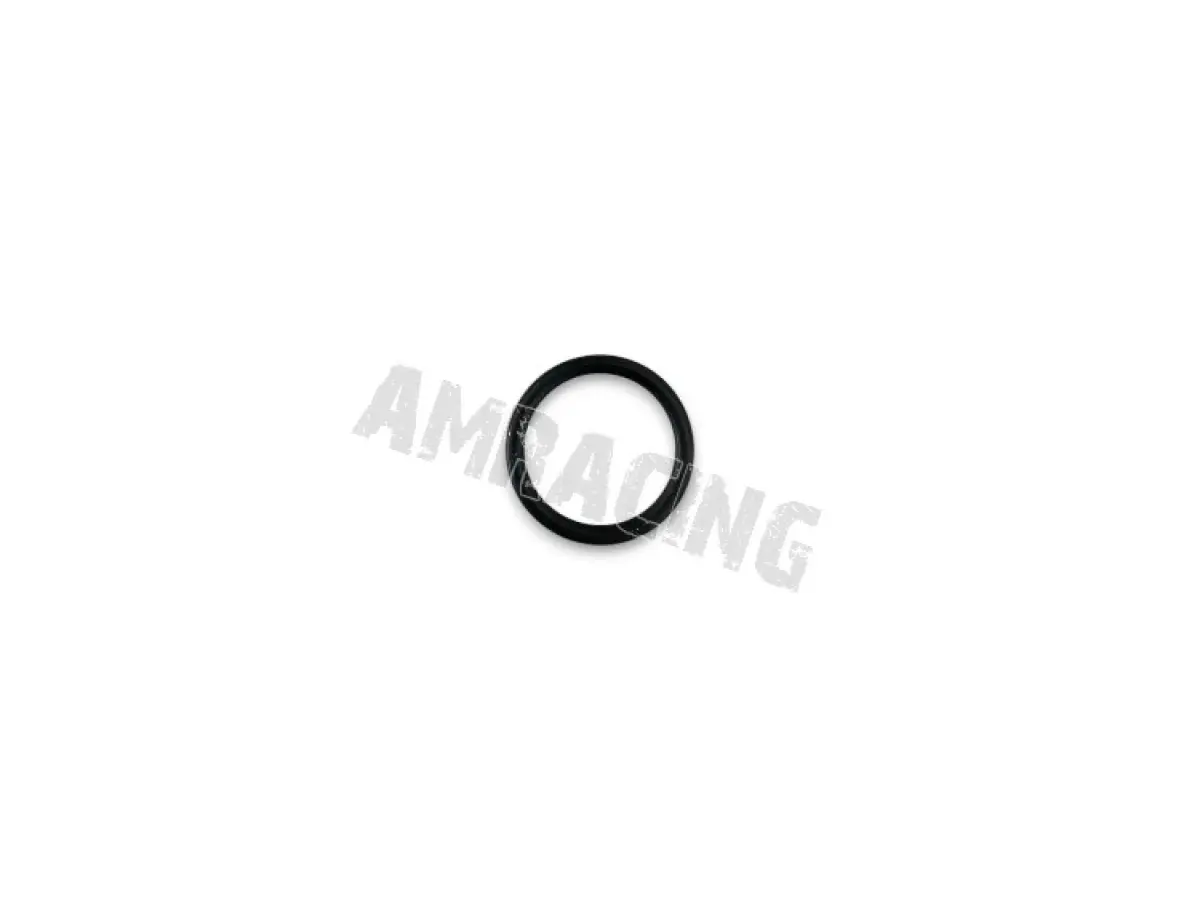 O RING ORM 0220-30 22,0X3,0